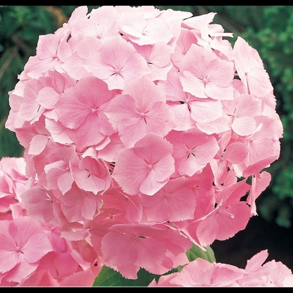 Other Items - Picture 1 of 1